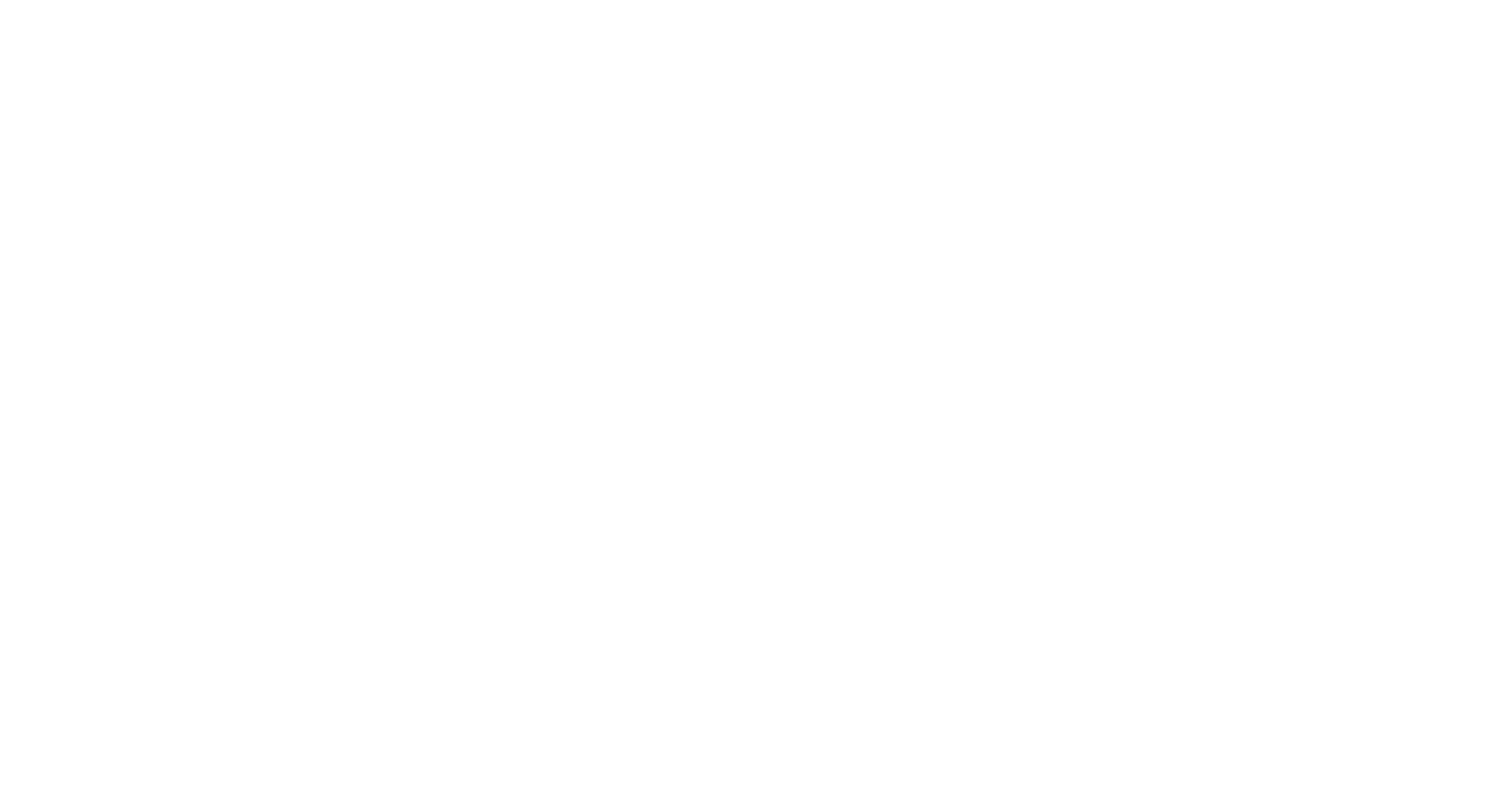 Synaptic Aviation
